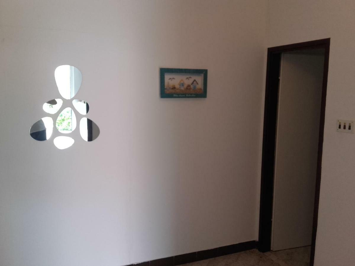 Apartman Vlado Zadar Eksteriør billede